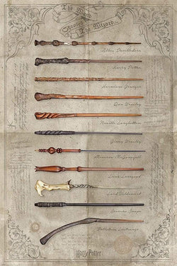 Pyramid Harry Potter The Wand Chooses the Wizard Poster 61x91,5cm | Posters.nl