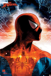 Pyramid Spider Man Protector of the City Poster 61x91,5cm | Posters.nl