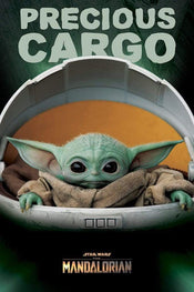 Pyramid Star Wars The Mandalorian Precious Cargo Poster 61x91,5cm | Posters.nl