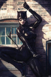 Pyramid Catwoman Spot Light Poster 61x91,5cm | Posters.nl