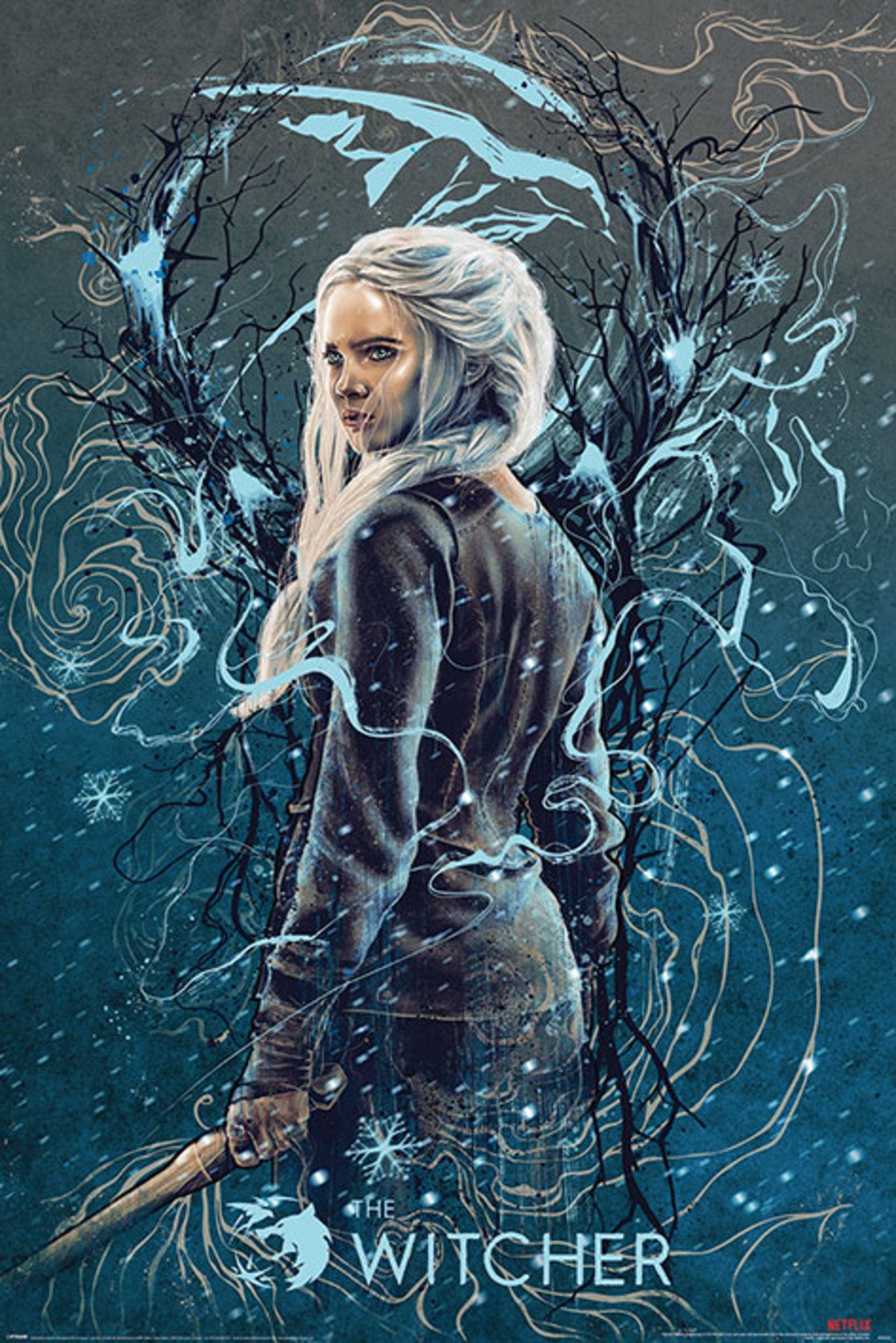 Pyramid The Witcher Ciri the Swallow Poster 61x91,5cm | Posters.nl