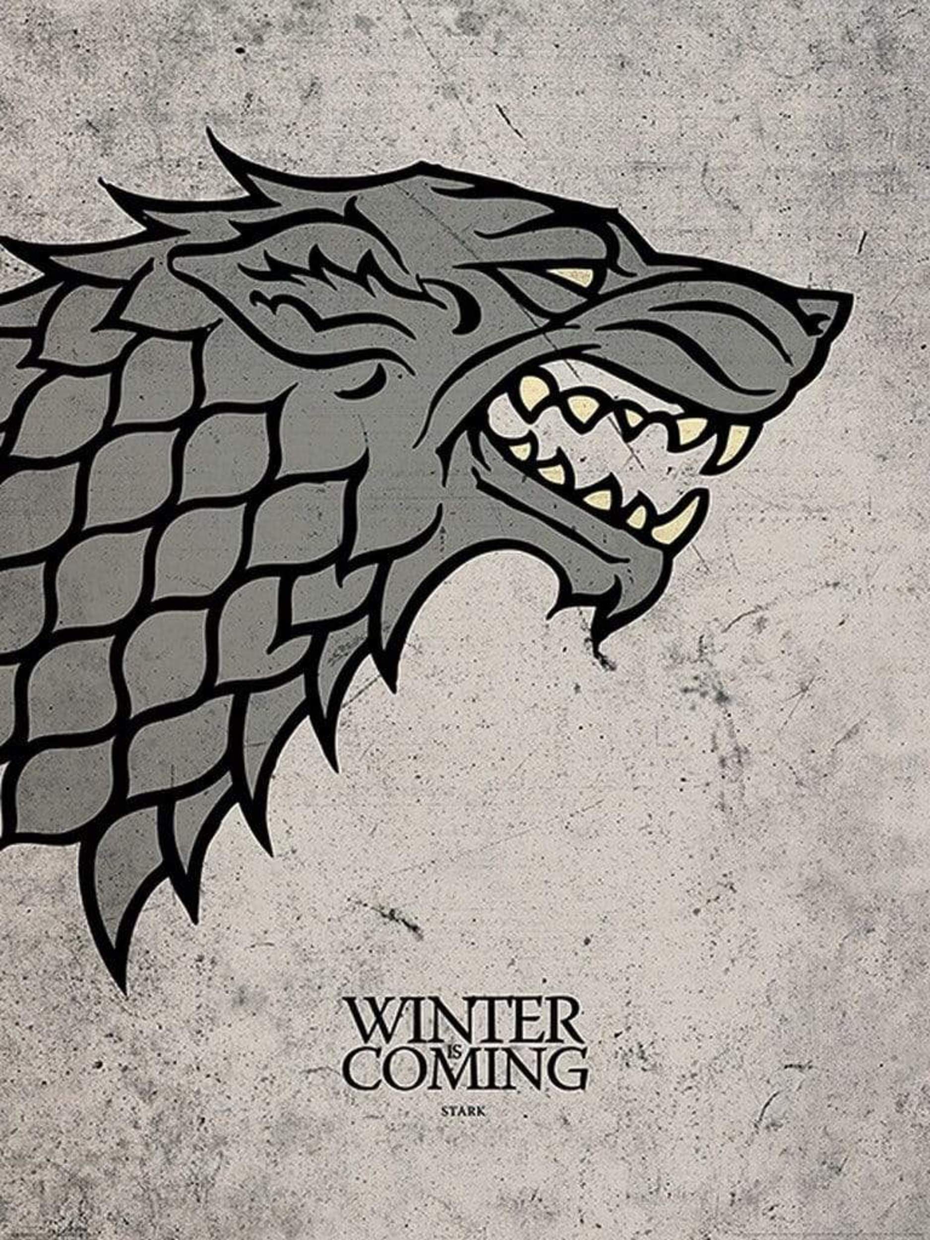 Pyramid Game of Thrones Stark Kunstdruk 60x80cm | Posters.nl
