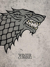 Pyramid Game of Thrones Stark Kunstdruk 60x80cm | Posters.nl