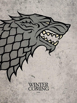 Pyramid Game of Thrones Stark Kunstdruk 60x80cm | Posters.nl