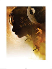 Pyramid Star Wars Rogue One Jyn Silhouette Kunstdruk 60x80cm | Posters.nl