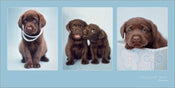 Pyramid Rachael Hale Chocolate Treat Kunstdruk 50x100cm | Posters.nl