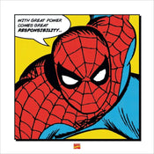 Pyramid Spider Man With Great Power Kunstdruk 40x40cm | Posters.nl