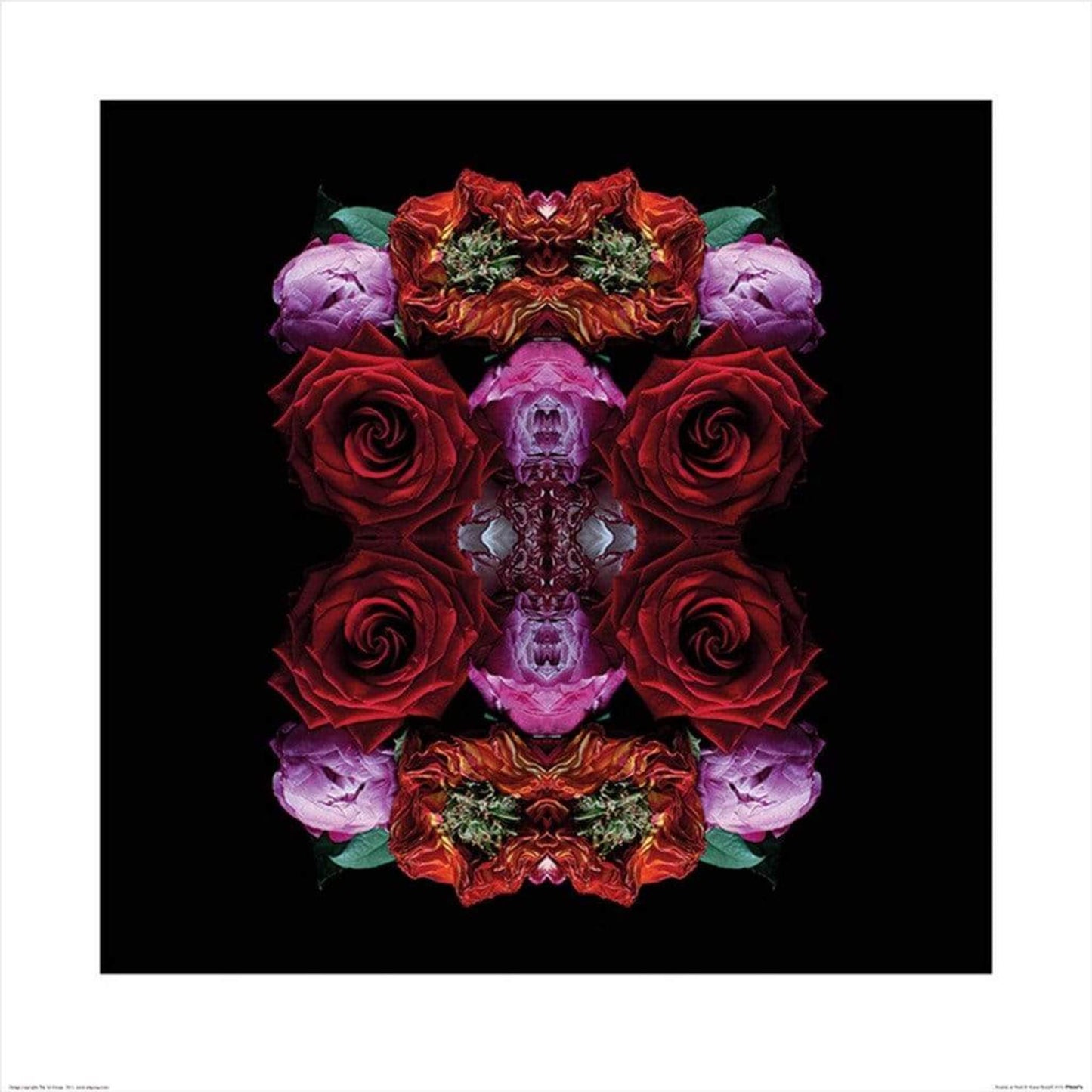 Pyramid Alyson Fennell Paradise of Petals Kunstdruk 60x60cm | Posters.nl