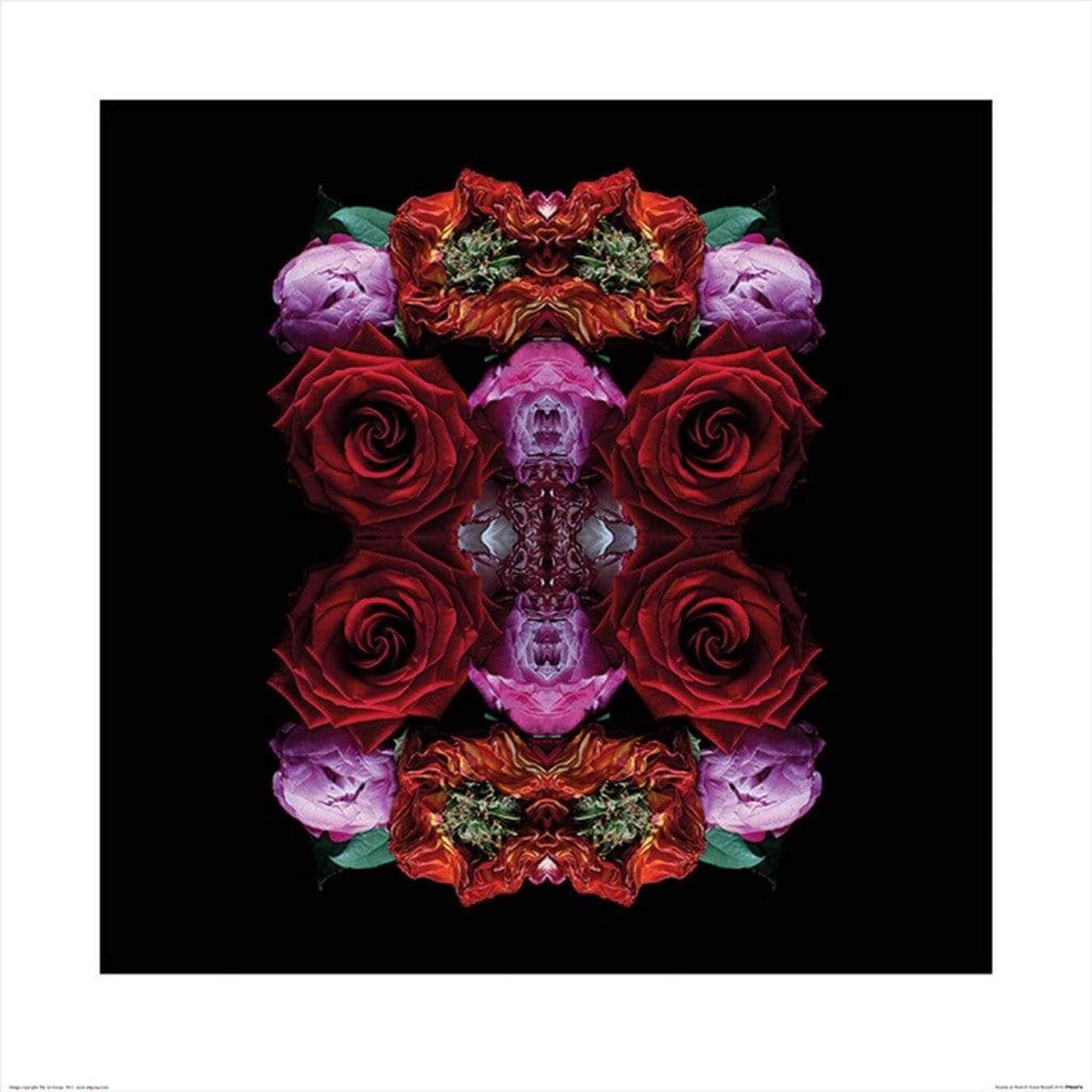 Pyramid Alyson Fennell Paradise of Petals Kunstdruk 60x60cm | Posters.nl