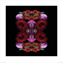 Pyramid Alyson Fennell Paradise of Petals Kunstdruk 60x60cm | Posters.nl