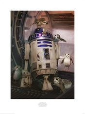 Pyramid Star Wars The Last Jedi R2D2 and Porgs Kunstdruk 60x80cm | Posters.nl