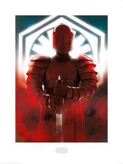 Pyramid Star Wars The Last Jedi Elite Guard Defend Kunstdruk 60x80cm | Posters.nl